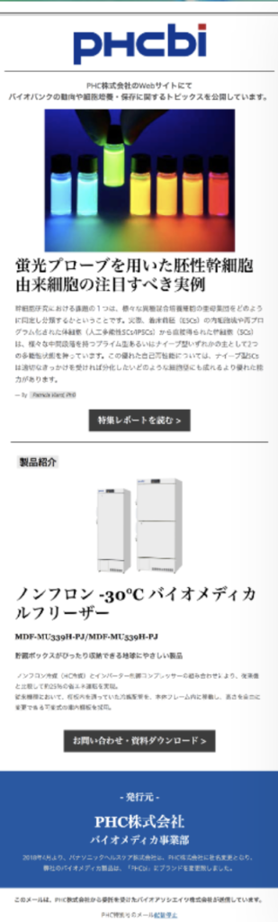 Sample email DM (Japanese)