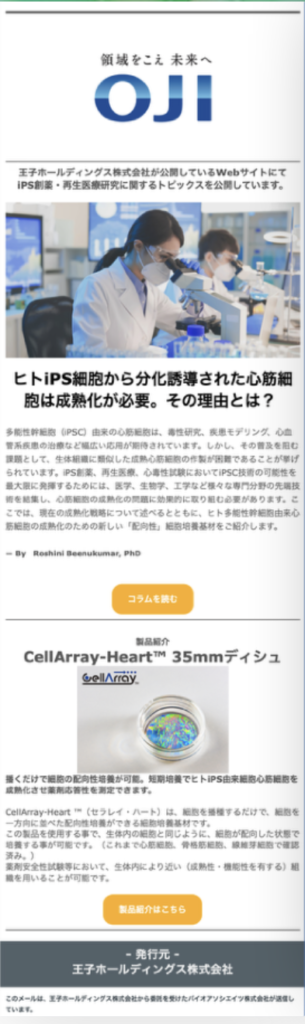 Sample email DM (Japanese)